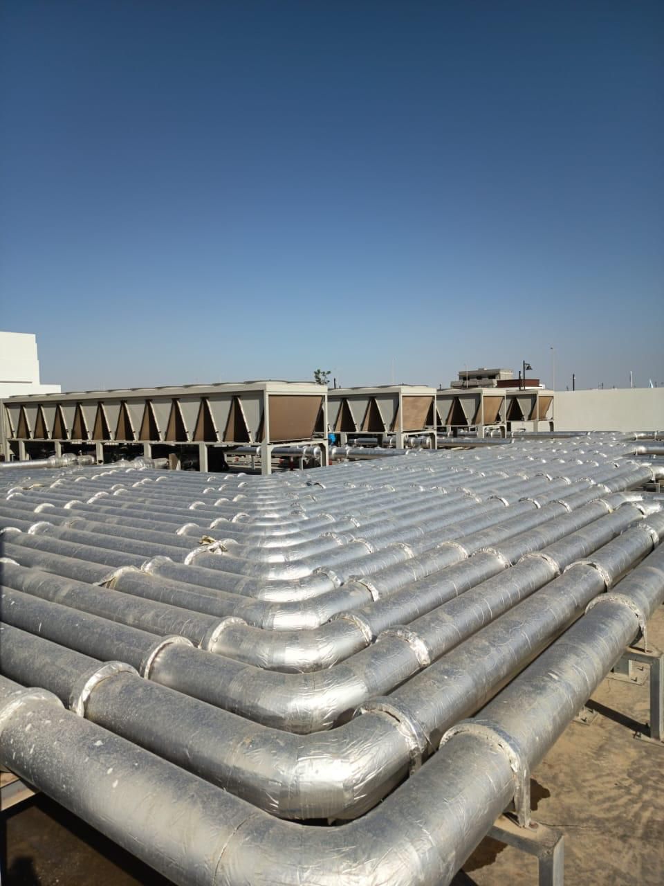 whatsapp image 2026 02 25 at 1.32.27 am (1)